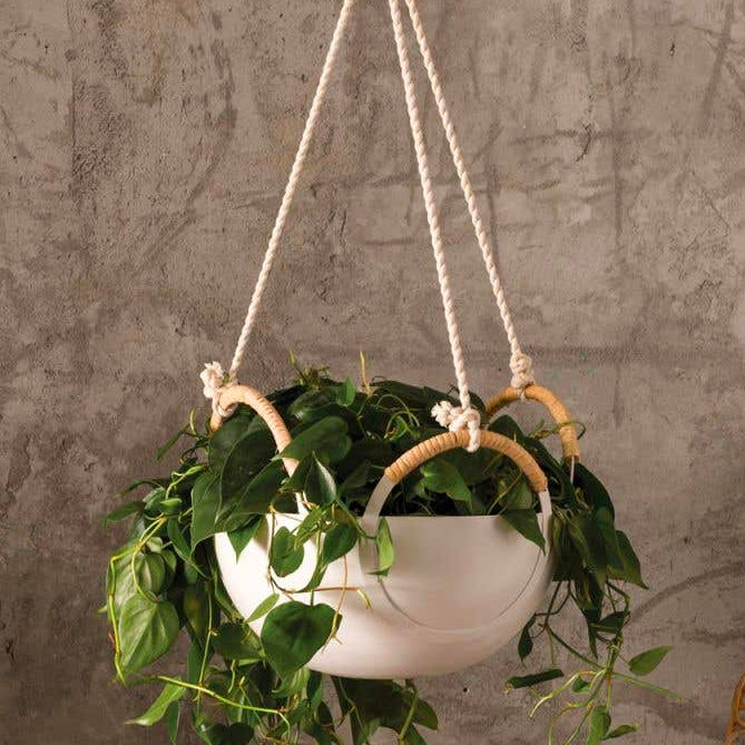 Sym Hanging Planter