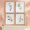 Playful Hummingbird Wall Art Set of 4