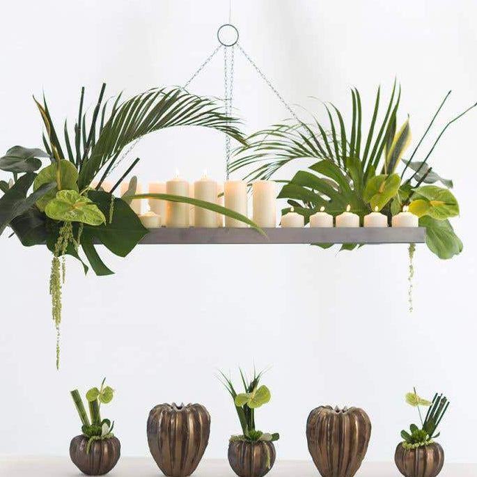 Showtime Plant Hanger