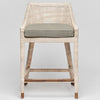 Interlude Home Boca Counter Stool