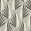 Mitchell Black Areca Palm Wallpaper