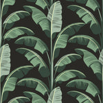 Mitchell Black Banana Leaf Wallpaper