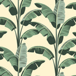 Mitchell Black Banana Leaf Wallpaper