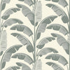 Mitchell Black Banana Leaf Wallpaper