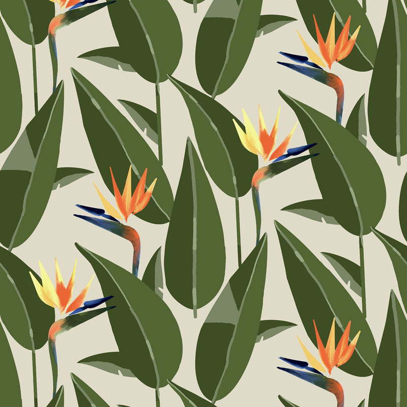 Mitchell Black Birds of Paradise Wallpaper