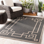 Livabliss Alfresco Frame Indoor/Outdoor Rug