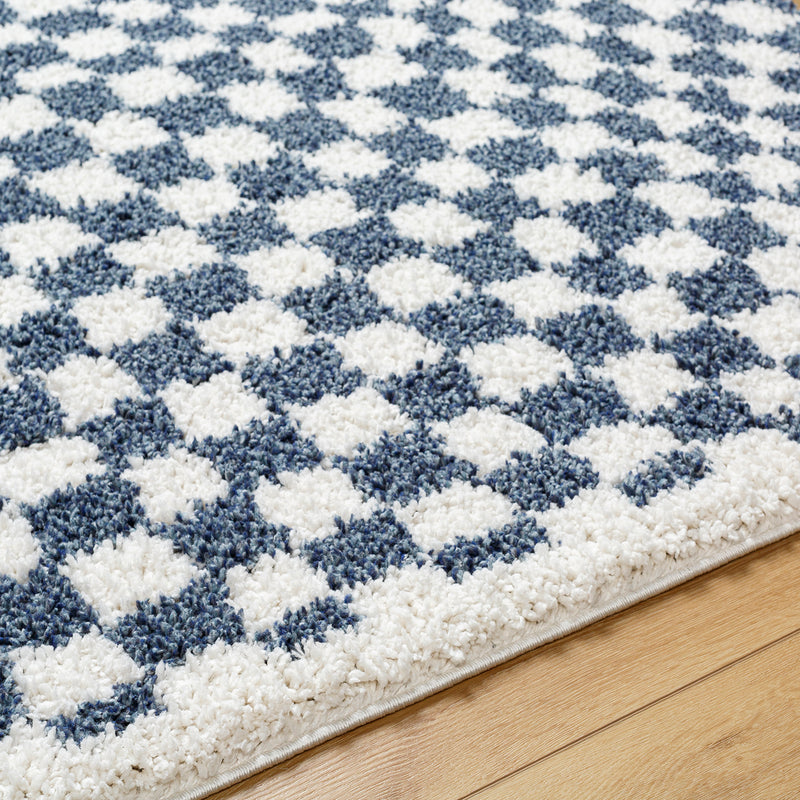 Livabliss Birmingham Checker Shag Machine Woven Rug