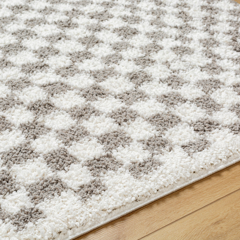 Livabliss Birmingham Checker Shag Machine Woven Rug