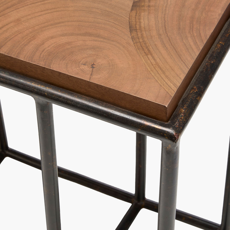 Brax Narrow End Table