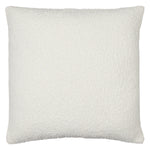 Eesha Solid Throw Pillow