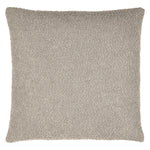 Eesha Solid Throw Pillow