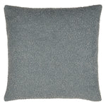 Eesha Solid Throw Pillow