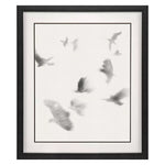 Hegre Birds in Flight Framed Art