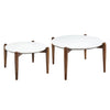 Kumasi Coffee Table Set of 2