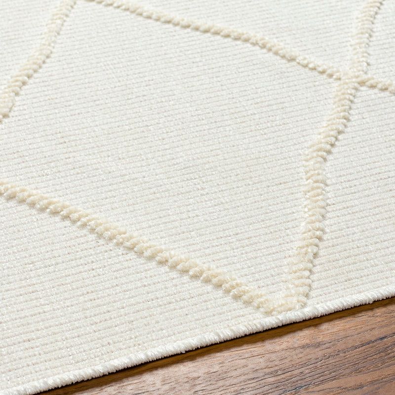 Livabliss Lyna Diamond Washable Rug