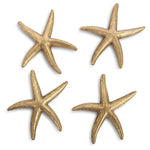 Phillips Collection Starfish Set of 4