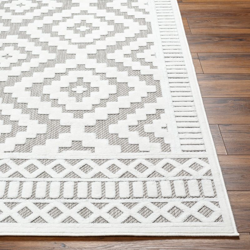 Livabliss San Diego Woven Indoor/Outdoor Rug