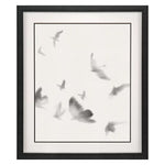 Hegre Birds in Flight Framed Art