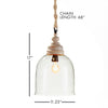 Vintner's Cloche Pendant