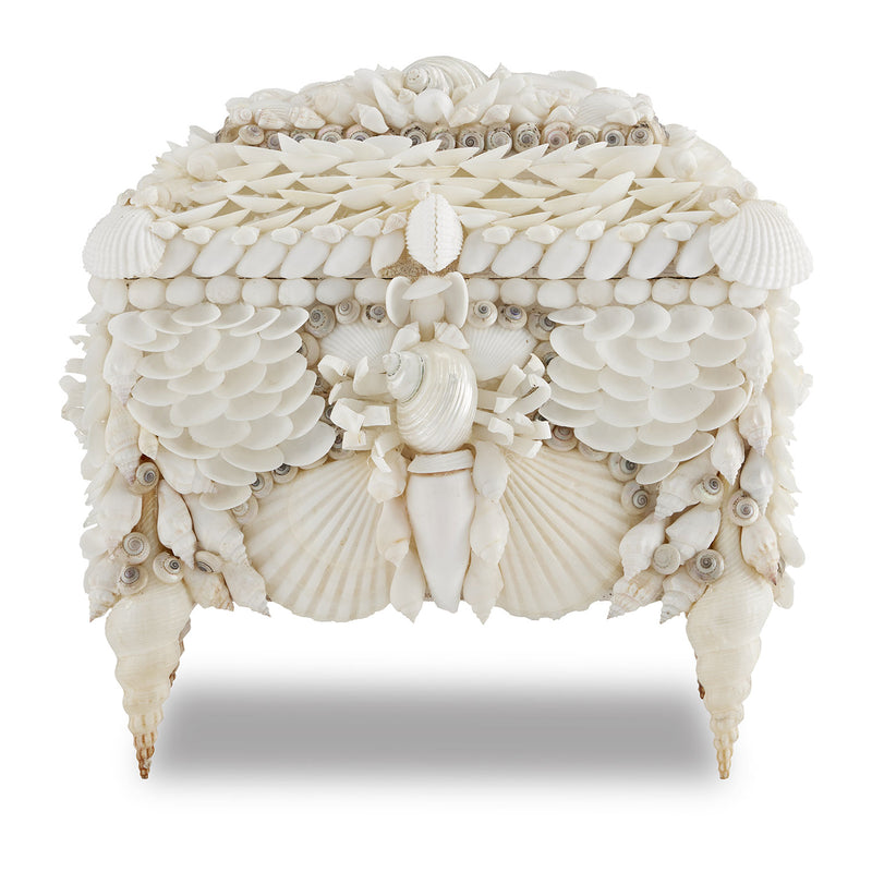 Currey & Co Boardwalk Shell Jewelry Box