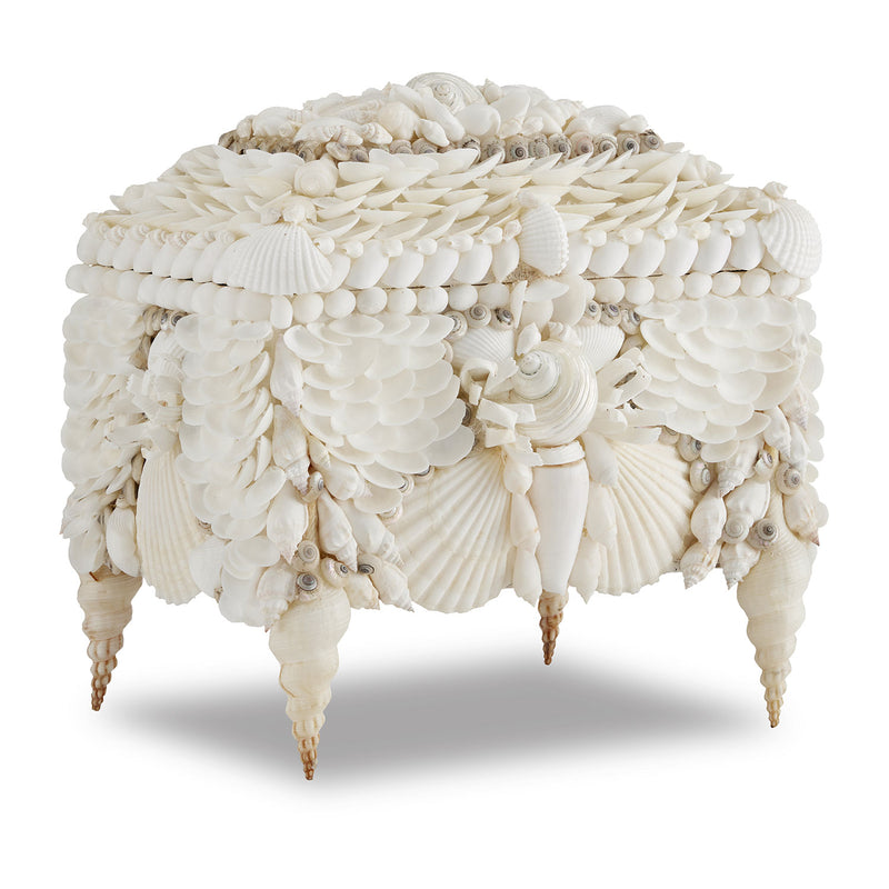 Currey & Co Boardwalk Shell Jewelry Box