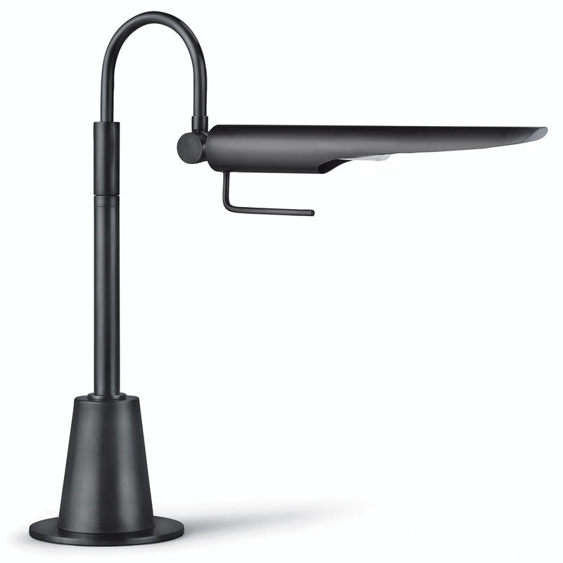 Regina Andrew Raven Task Lamp