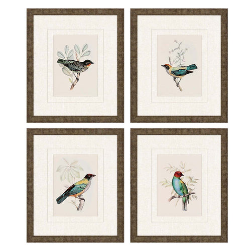 On Perch I Framed Art Set of 4