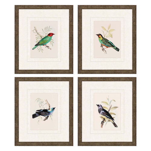 On Perch II Framed Art Set of 4