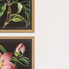 Mauve Botanicals Framed Art Set of 4