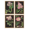 Mauve Botanicals Framed Art Set of 4