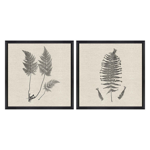 Langdon Modern Ferns I Framed Art Set of 2