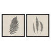 Langdon Modern Ferns II Framed Art Set of 2