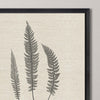 Langdon Modern Ferns II Framed Art Set of 2