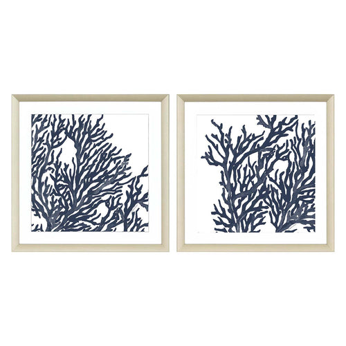 Roberts Blue Coral I Framed Art Set of 2