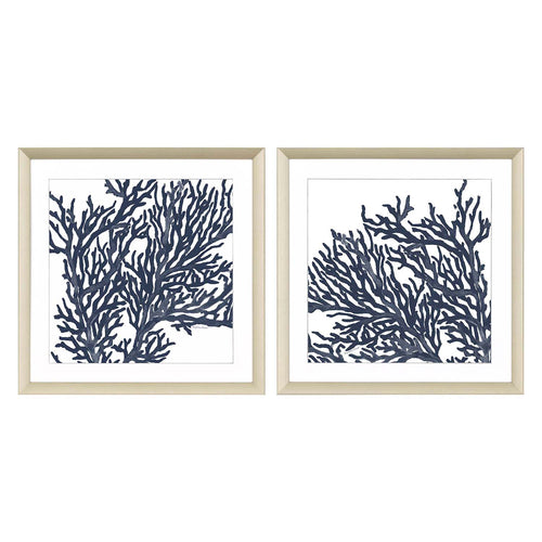 Roberts Blue Coral II Framed Art Set of 2