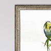 Jardine Late Summer Wildflower I Framed Art