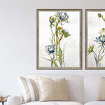 Jardine Late Summer Wildflower I Framed Art