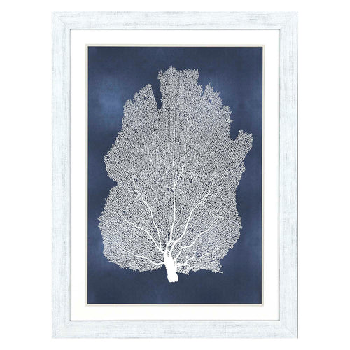 Miller Sea Fan on Blue I Framed Art