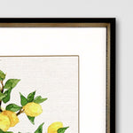 Roberts Fruit Topiary Framed Art Set of 2