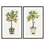 Roberts Fruit Topiary Framed Art Set of 2