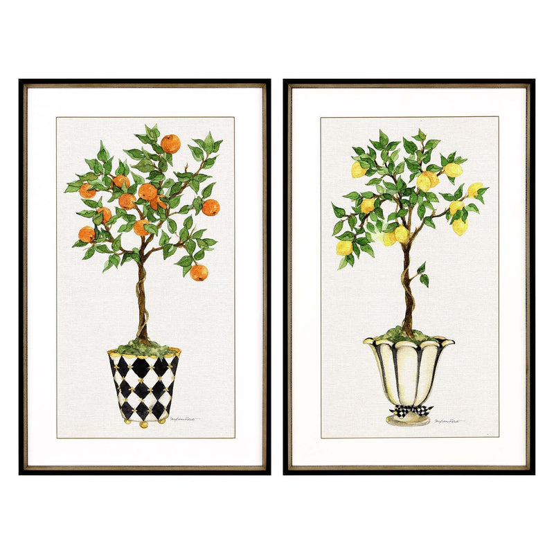 Roberts Fruit Topiary Framed Art Set of 2