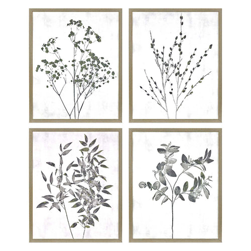 Floral Wild Framed Art Set of 4