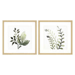 Allen Watercolor Sage Framed Art Set of 2