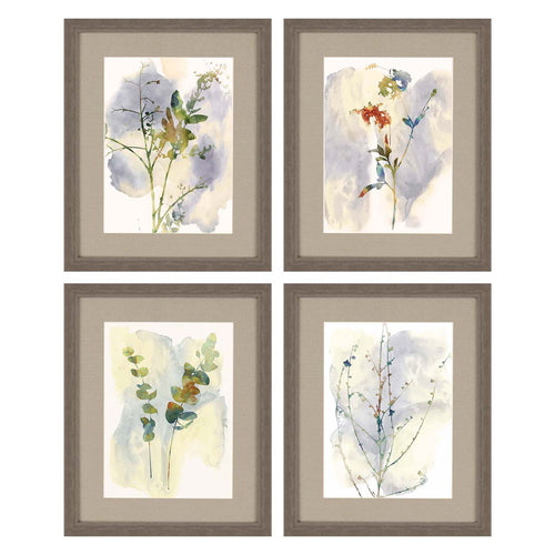 Bello Wildflower Framed Art Set of 4