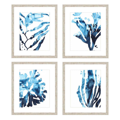 Vess Inkwash Kelp Framed Art Set of 4