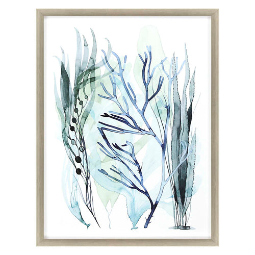 Popp Sea Leaves III Framed Art