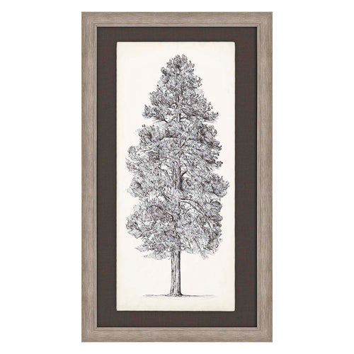 Wang Tree Sketch II Framed Art