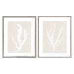 Inspire Studio Seaweed Framed Art Set of 2