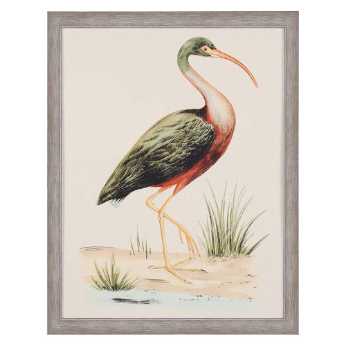 Meyer Water Bird I Framed Art