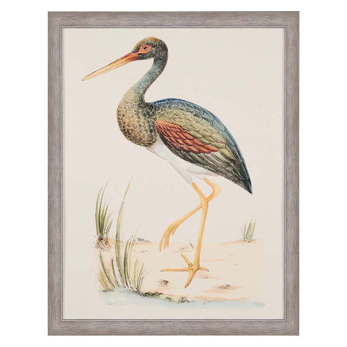 Meyer Water Bird II Framed Art